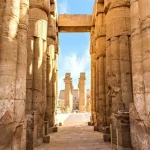 Gallery Thumbnail 13