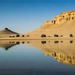 Gallery Thumbnail 19